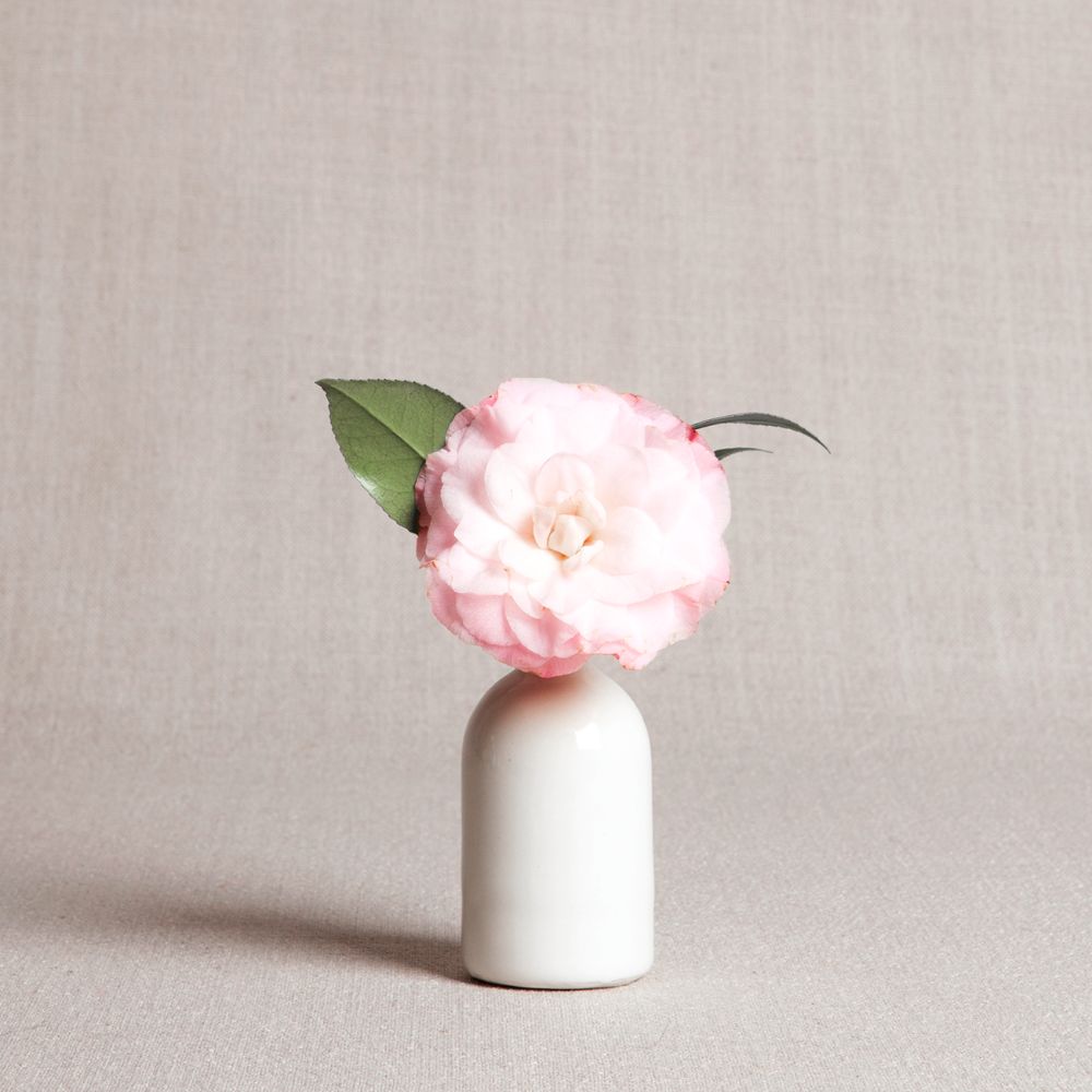 Minimalist Bud Vase - White - Liz & Addie 